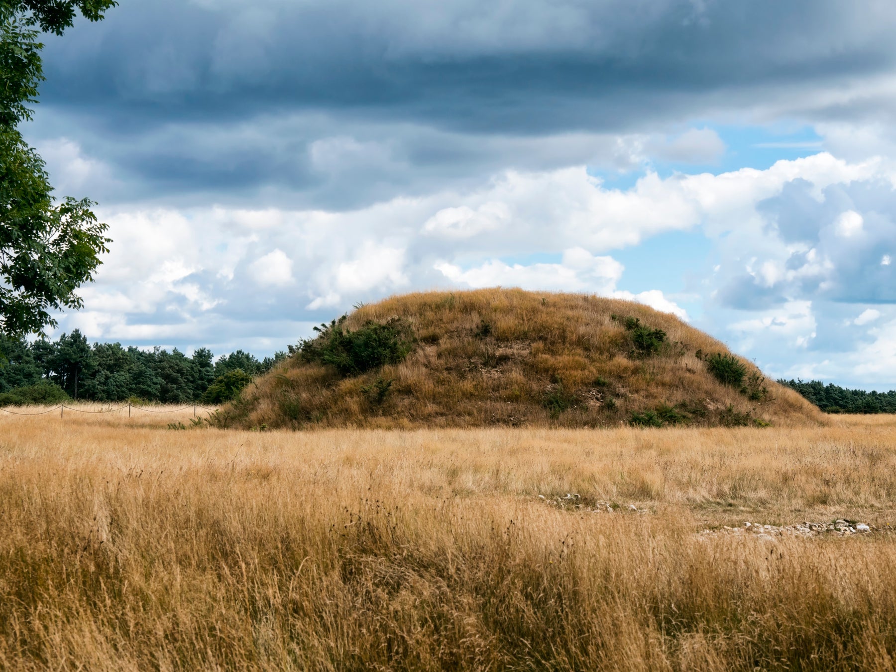 A mound at Sutton Hoo