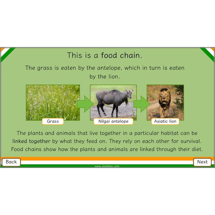 PlanBee Animals of India complete Science scheme of work for KS2