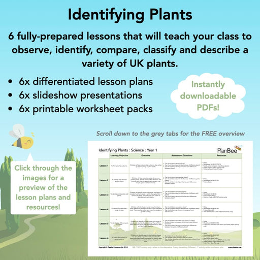 PlanBee Identifying Plants Year 1 | KS1 Plants Lessons | PlanBee