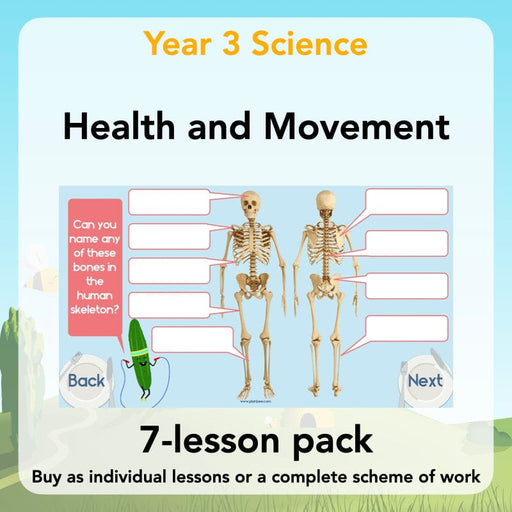PlanBee Animals Including Humans Year 3 Science Lessons by PlanBee