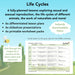 PlanBee Living Things and Habitats Life Cycles KS2 Science PlanBee