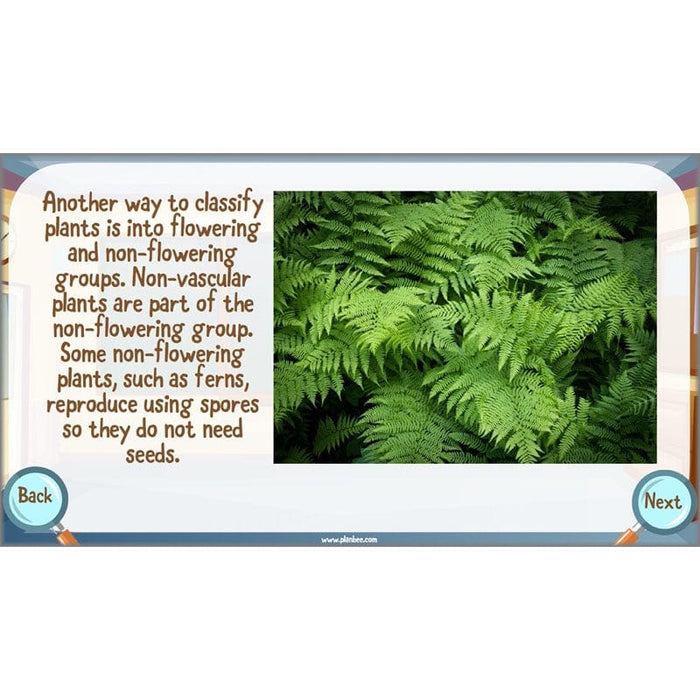 PlanBee Living Things and their Habitats Year 6 | Classifying Organisms