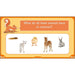PlanBee Growth and Survival: Animals including Humans Year 2 Science