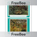 PlanBee Henri Rousseau Rainforest Art Picture Cards for KS1 and KS2