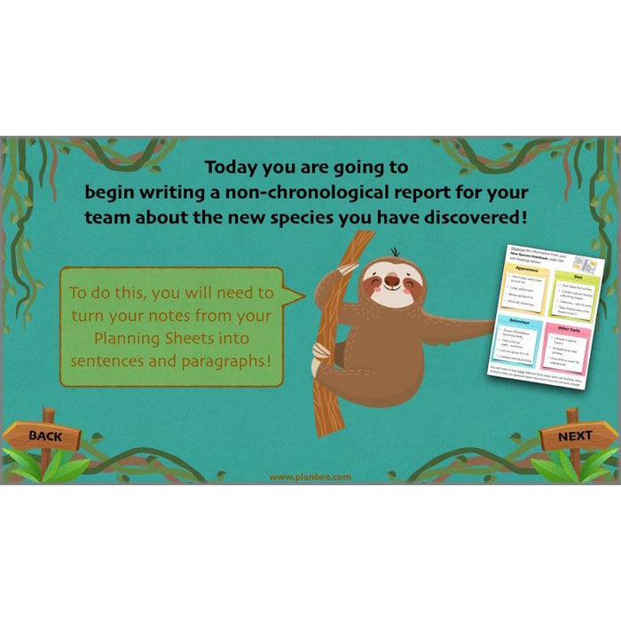 PlanBee Lost in the Rainforest: Non chronological Reports Year 3 English Plans & Resources