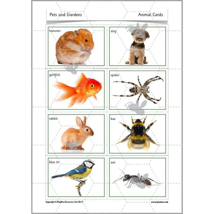 PlanBee Pets and Gardens Year 1 Science Lesson Plans by PlanBee