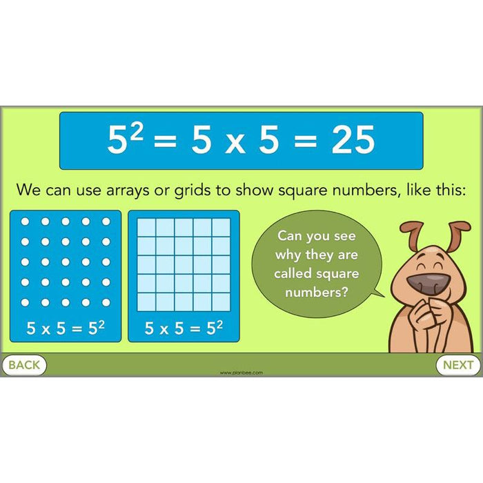 PlanBee Square Numbers, Cube Numbers and Factor Pairs | KS2 Year 5