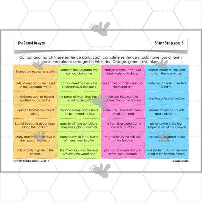 PlanBee The Grand Canyon KS2 Geography Lesson Plans