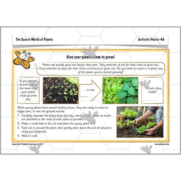 PlanBee Secret World of Plants - KS1 Science Scheme of Work: Year 2