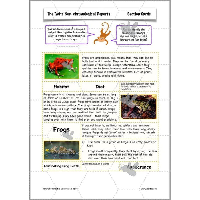 PlanBee The Twits Lesson Plans | KS2 English Planning for Year 4