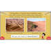 PlanBee China KS2 Geography Lesson Planning Pack for Year 5 & 6
