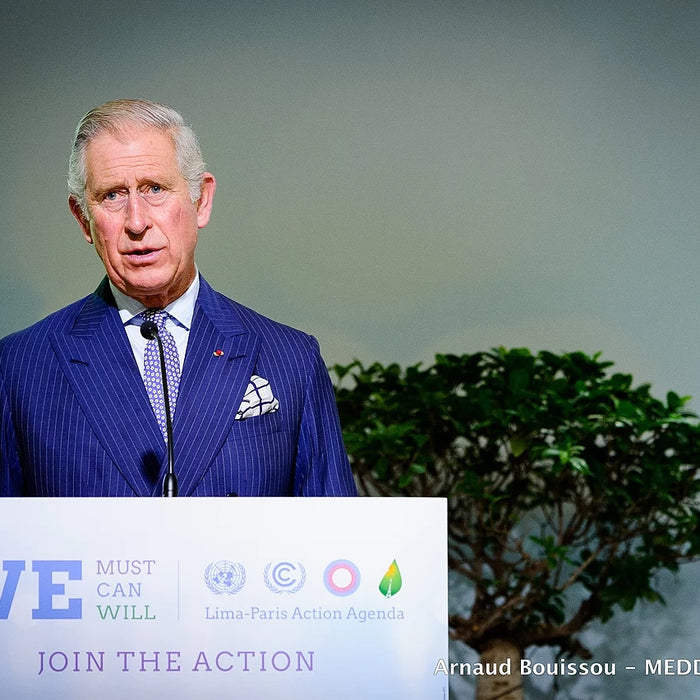 Charles at COP21 in 2015