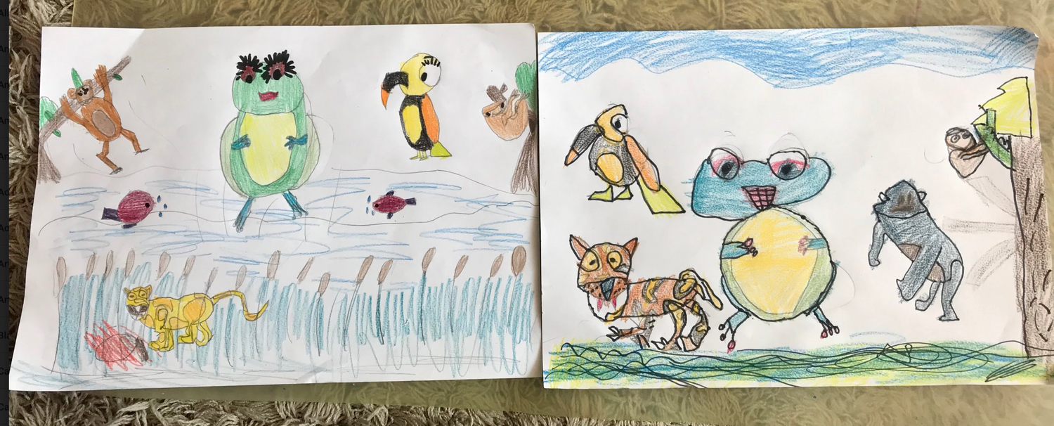 Live Learning Session Drawing Rainforest Animals 1