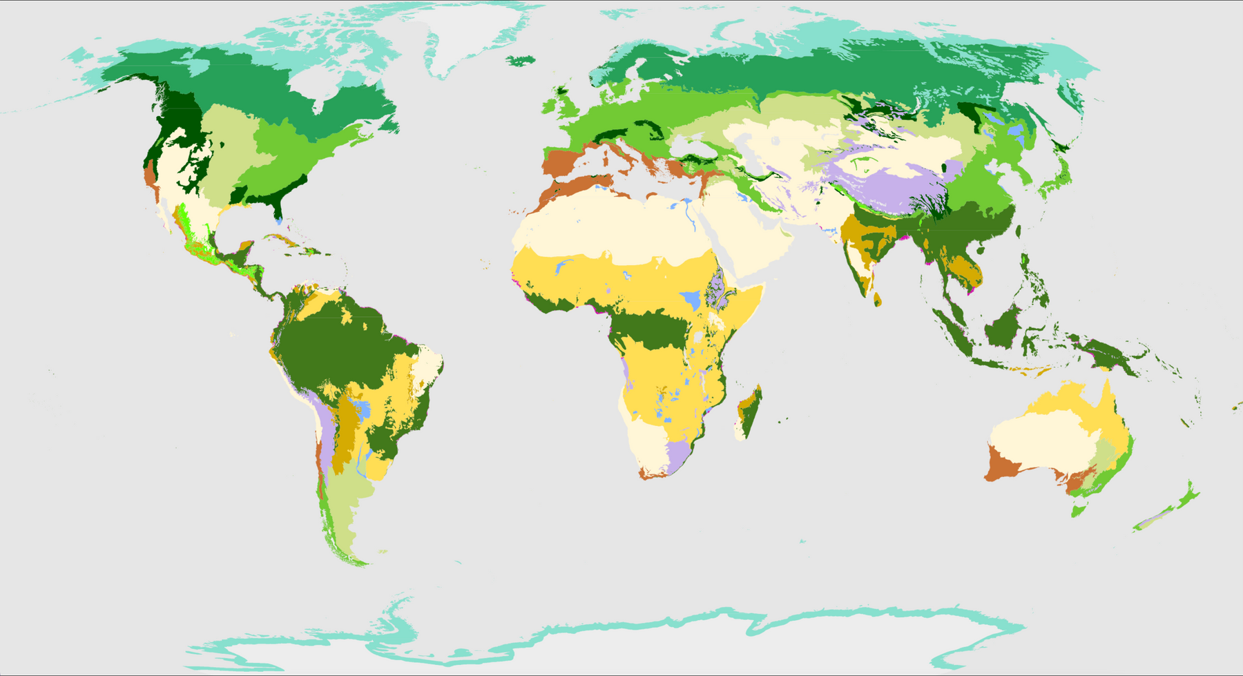 Biomes: Exploring Nature’s Neighbourhoods