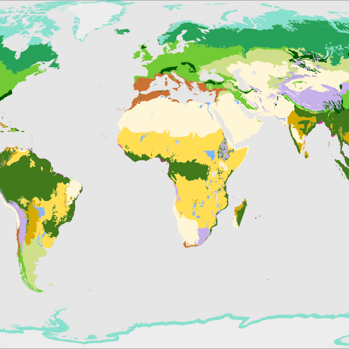 Biomes: Exploring Nature’s Neighbourhoods