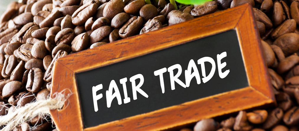 How to Become a Fairtrade School | PlanBee Blog