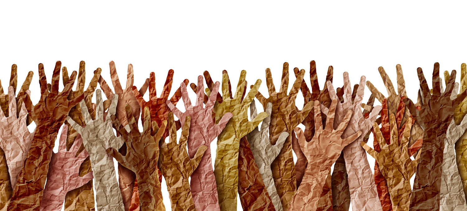 Decolonising The Curriculum Roundup Blog