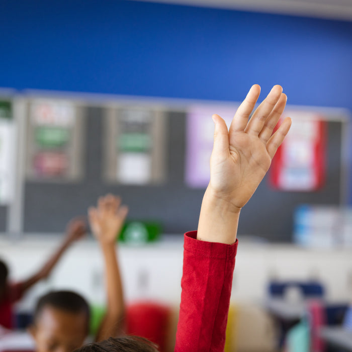 Child with their hand up in a classroom