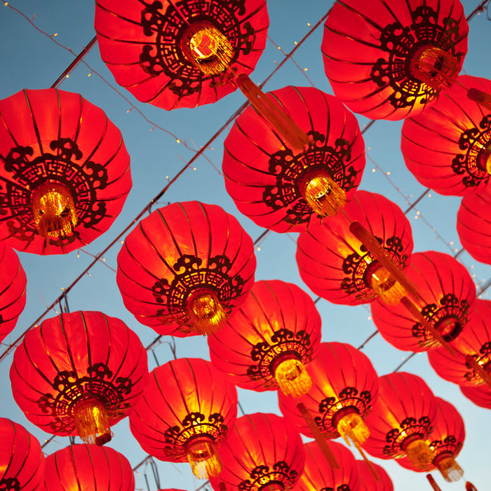 Lunar New Year Facts for Kids