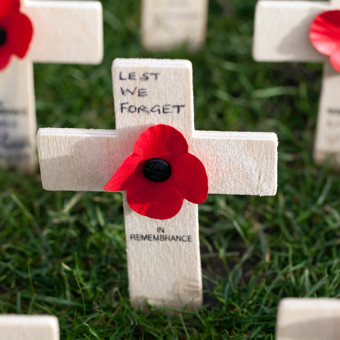 Remembrance Day Activities for KS1 and KS2