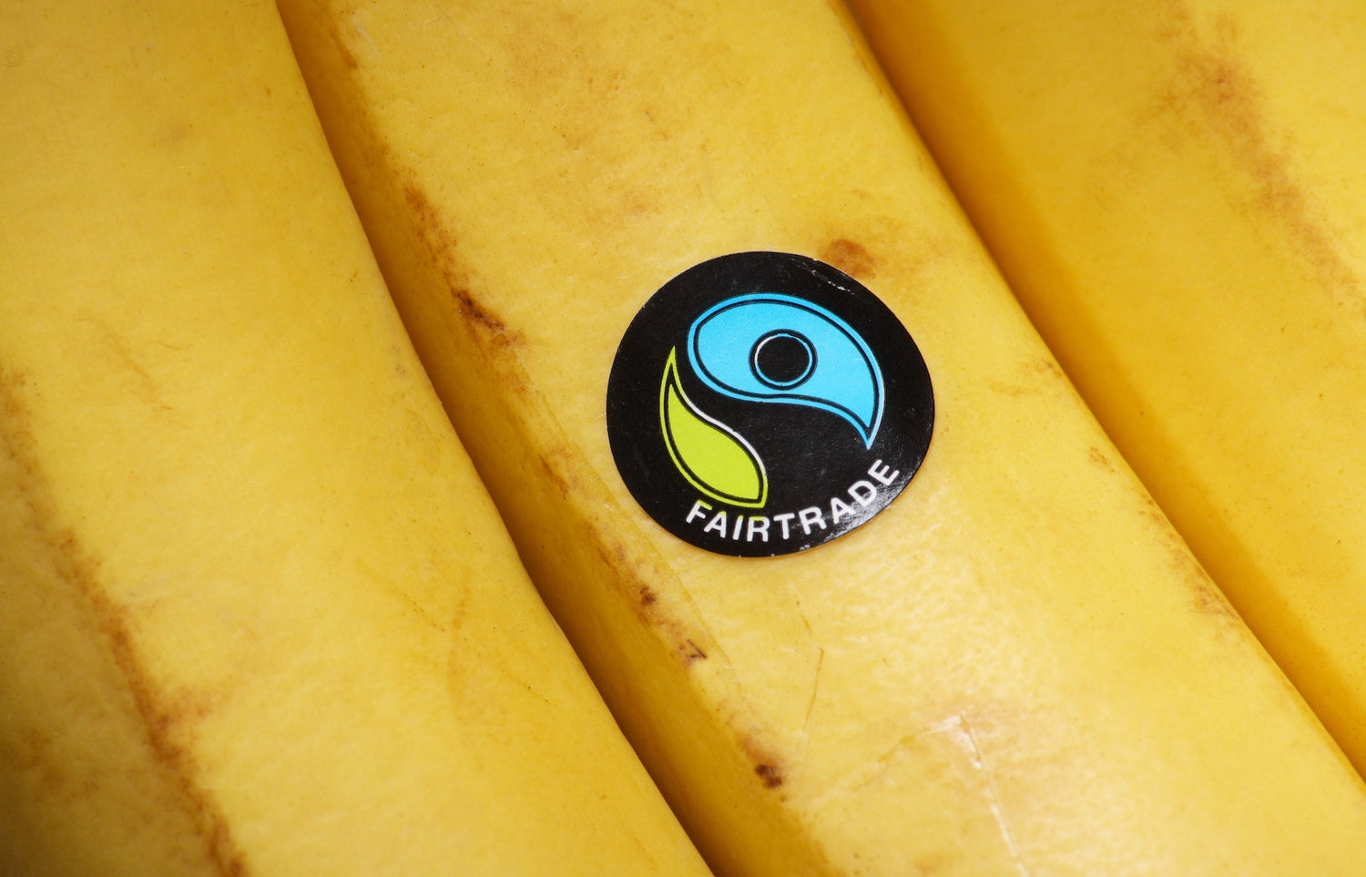 Fair Trade Facts for Kids (KS2)