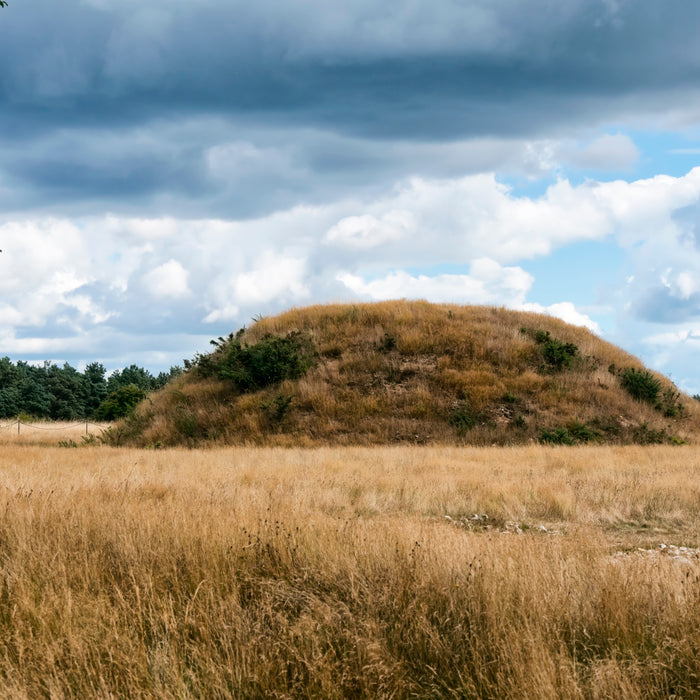 A mound at Sutton Hoo