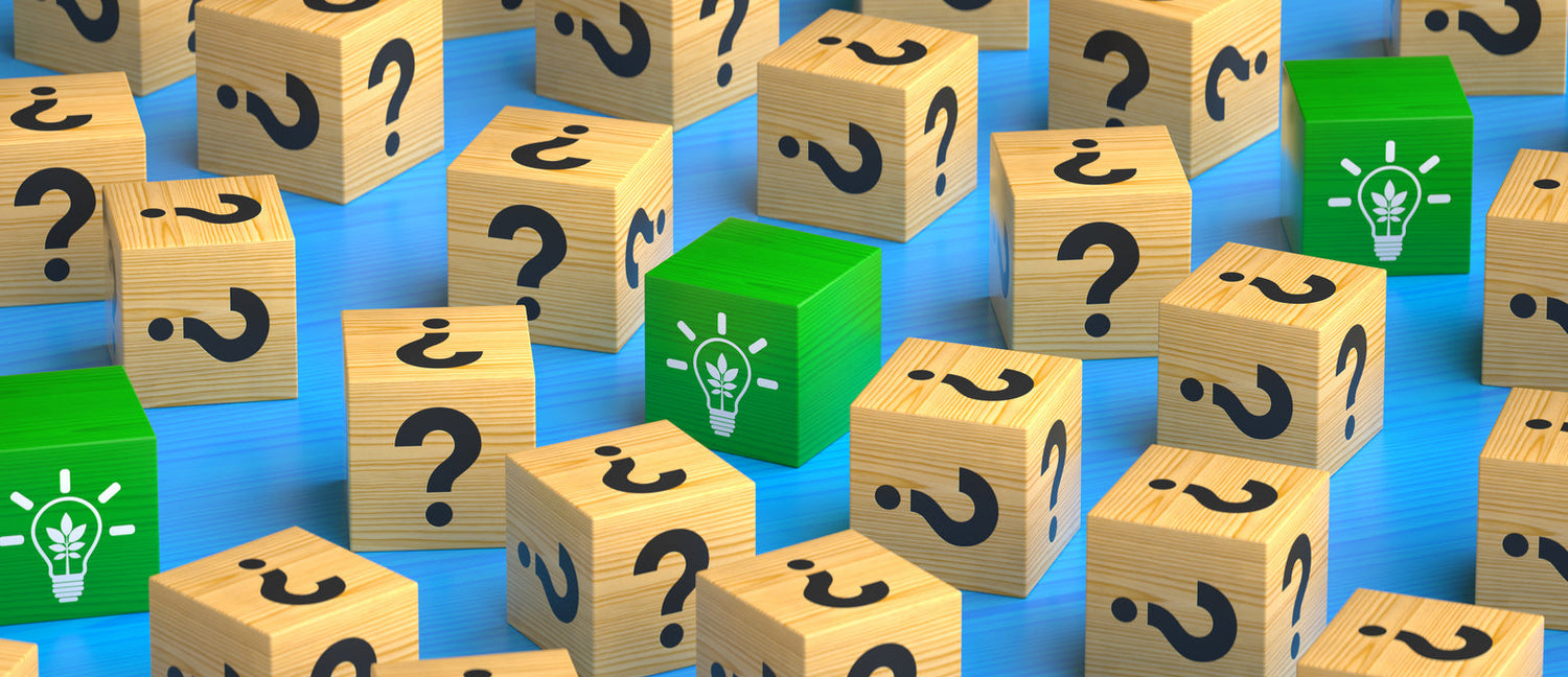 Riddles for Kids: 50 Fun Riddles for KS1 and KS2