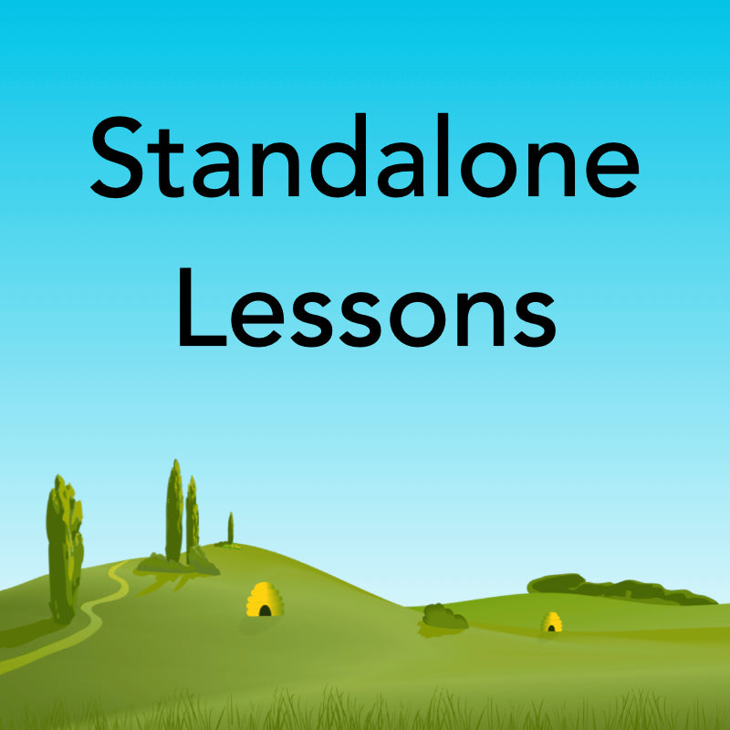 One-off Primary Lessons - Perfect for PPA or Supply Cover – PlanBee