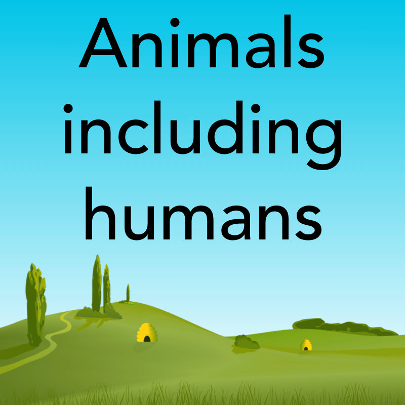 Animals including humans