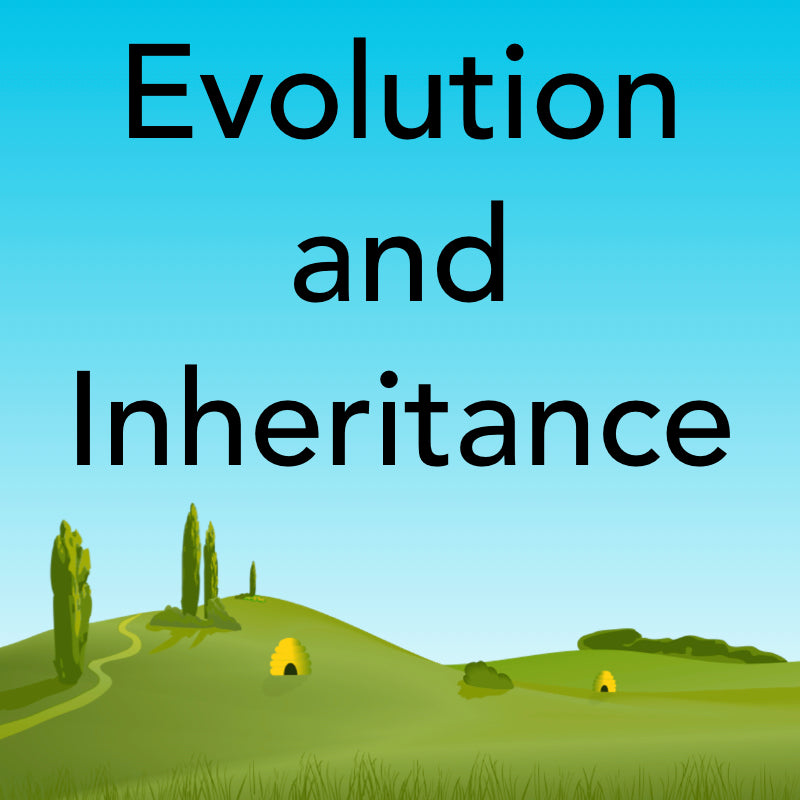 Evolution and Inheritance