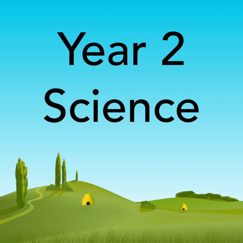 Year 2 Science curriculum lessons and worksheets by PlanBee