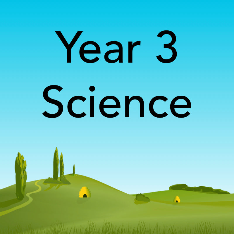 Year 3 Science