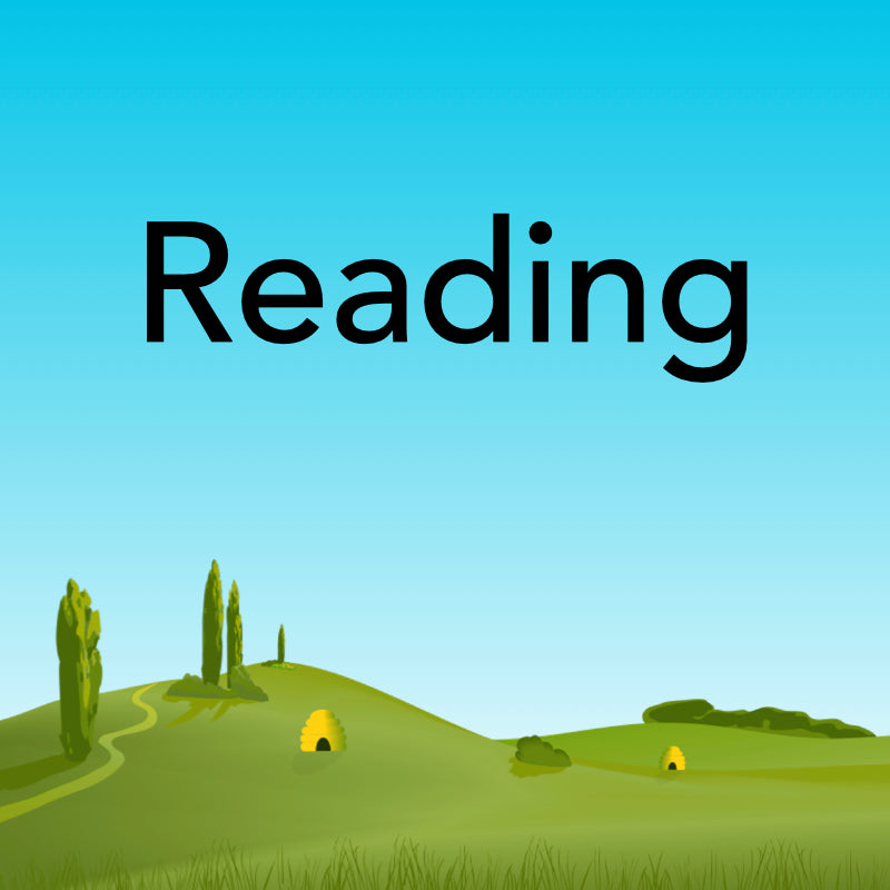 English Reading Programme of Study Lesson Packs by PlanBee