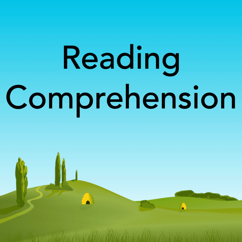 reading-comprehension-lesson-packs-by-planbee