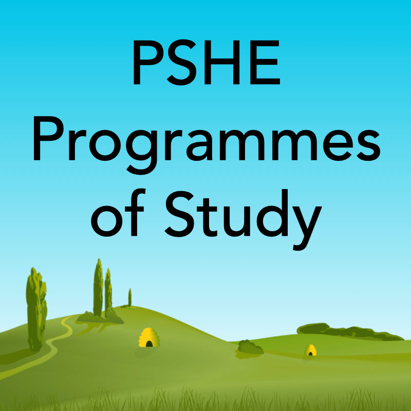 PSHE Programmes Of Study Lessons By PlanBee