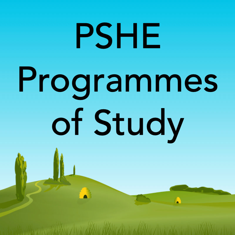 PSHE Programmes of Study