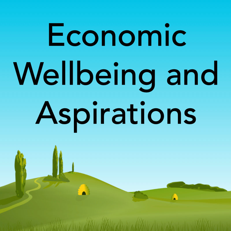 Economic Wellbeing and Aspirations