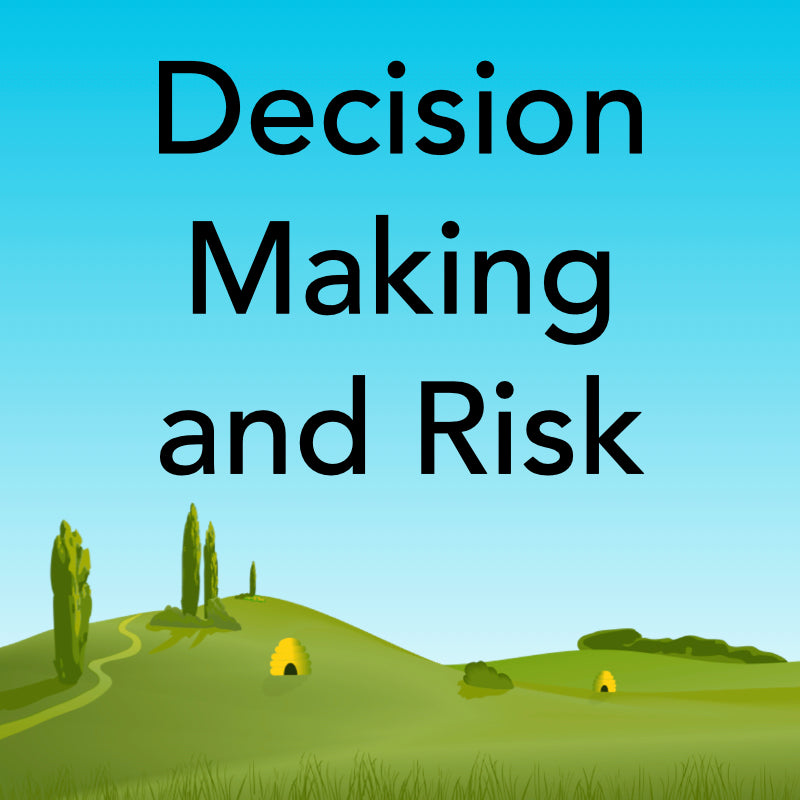 Decision Making and Risk