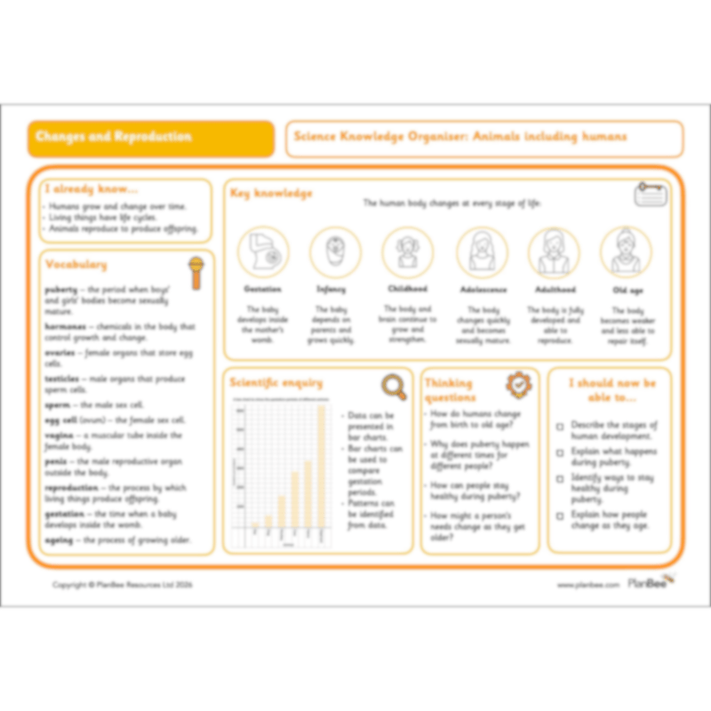 PlanBee Human Life Cycle KS2 lessons | Year 5 Science by PlanBee
