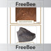 PlanBee Free Fossil KS2 Picture Cards by PlanBee