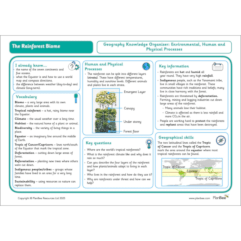 PlanBee The Rainforest Biome KS2 | Geography Lesson Pack