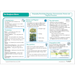 PlanBee The Rainforest Biome KS2 | Geography Lesson Pack