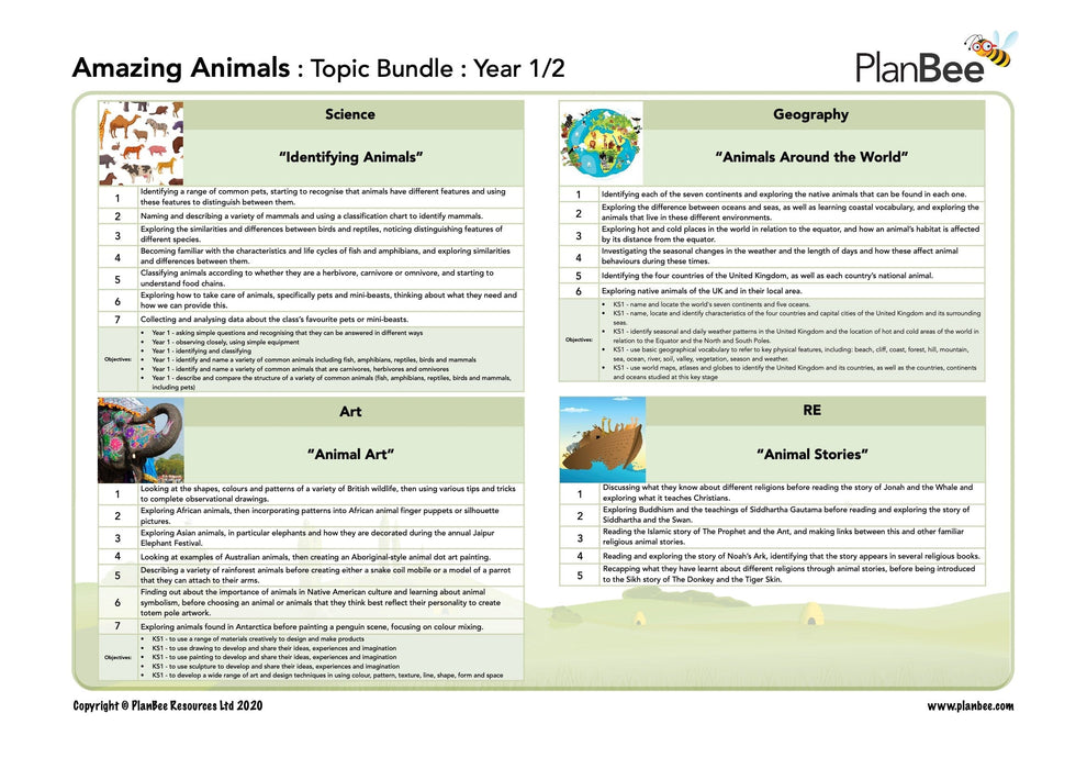 PlanBee Amazing Animals KS1 Topic Bundle by PlanBee