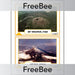 PlanBee FREE Volcano Display KS2 Cards | Geography Resources