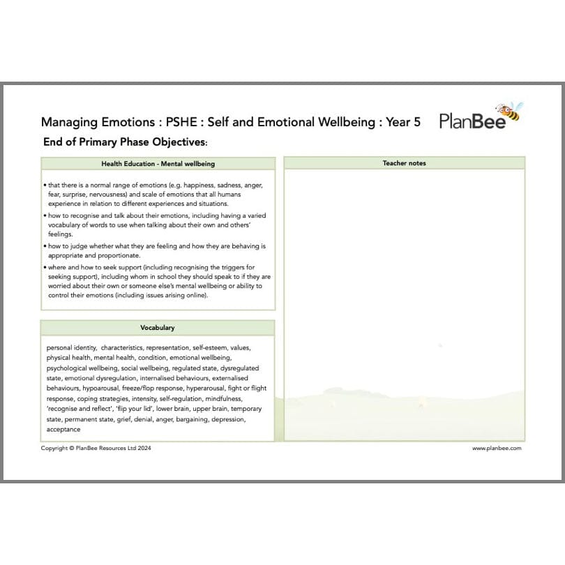 PlanBee Feelings and Emotions KS2 Topic | PlanBee