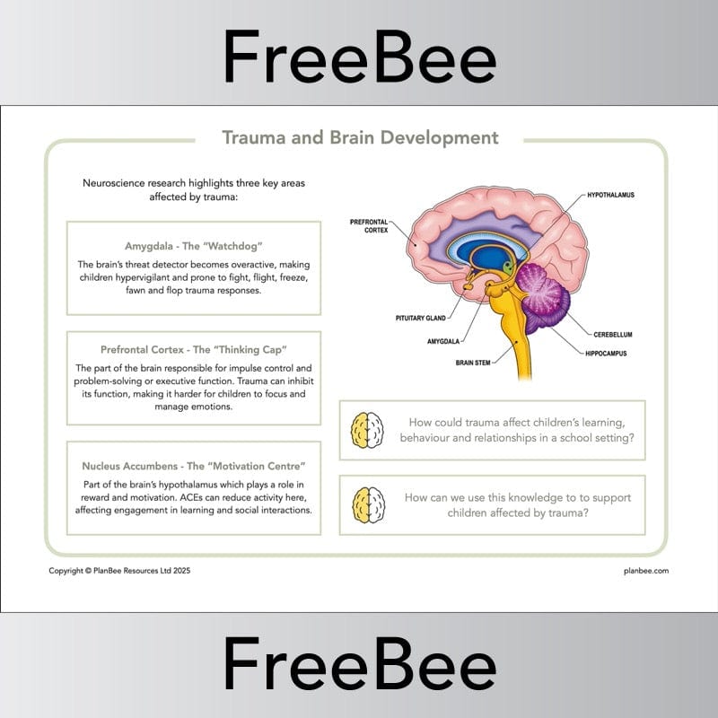 PlanBee FREE Trauma Informed Teaching Pack