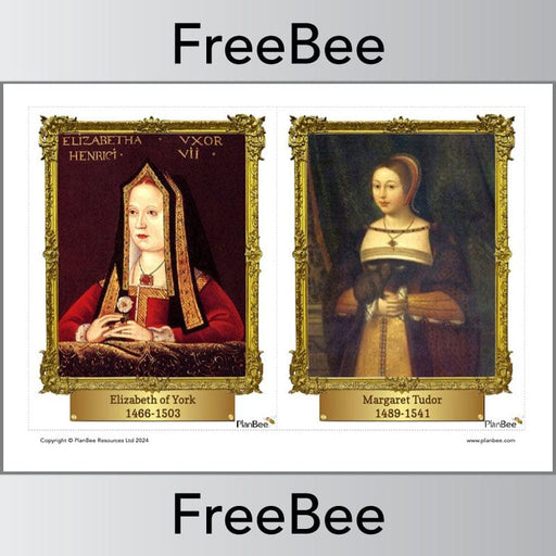 PlanBee Tudors Display | Free Tudor Display Cards for KS2 