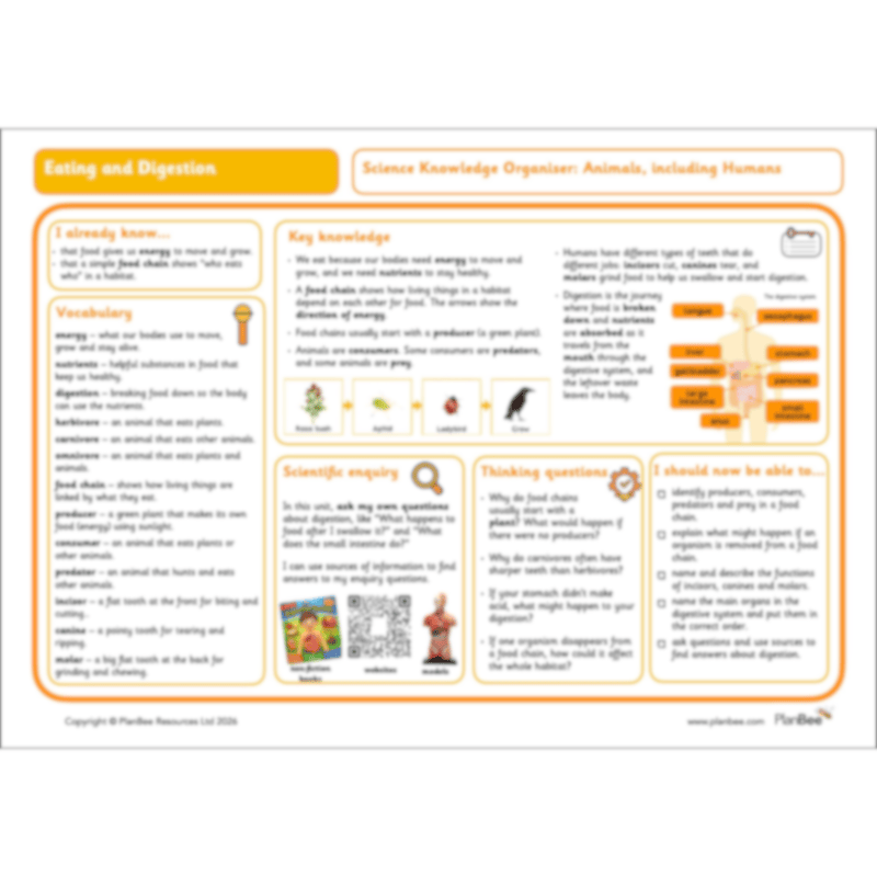 PlanBee Digestive System Year 4 Animals including Humans | PlanBee