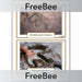 PlanBee Free Fossil KS2 Picture Cards by PlanBee