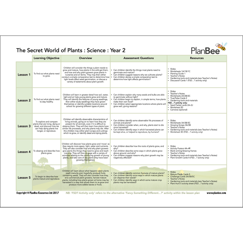 PlanBee Our Amazing World Topic - KS1 Primary Resources by PlanBee